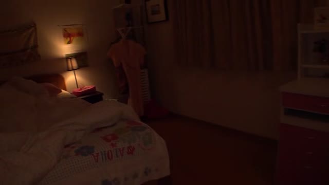 レイプ、姉、近親相姦の企画女優動画イメージ